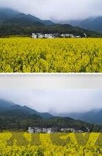 91麻豆性生活视频图-探索互联网文化的多样性与道德边界的反思——以91麻豆性生活视频图为例