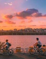 麻豆91国语视频-麻豆91国语视频，新时代的网络文化现象与争议